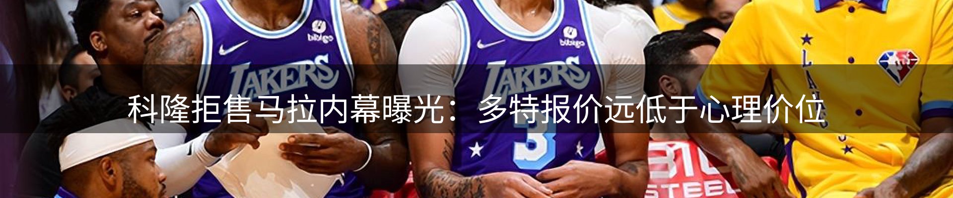 网站资讯