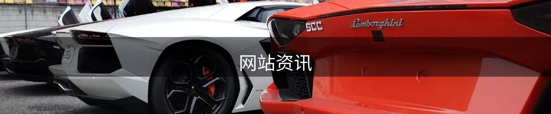 网站资讯
